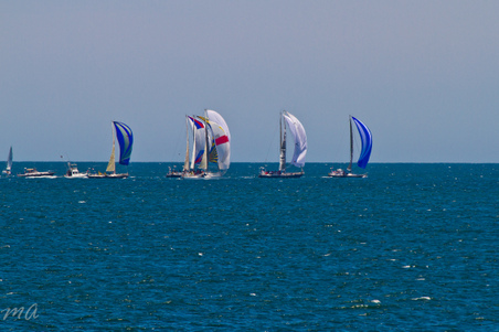 Enlarge photo 171