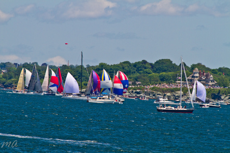 Enlarge photo 172