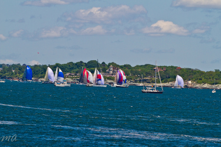 Enlarge photo 175