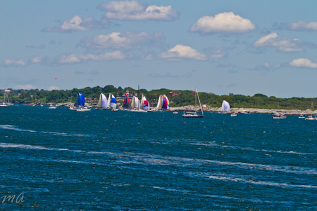 Enlarge photo 176
