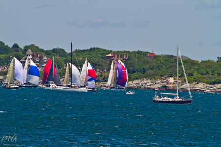 Enlarge photo 177
