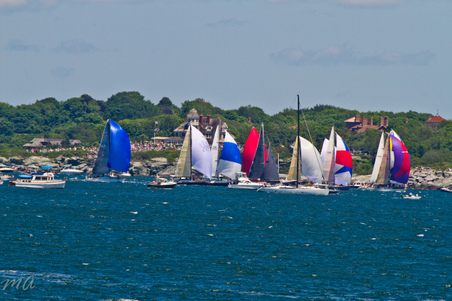 Enlarge photo 178