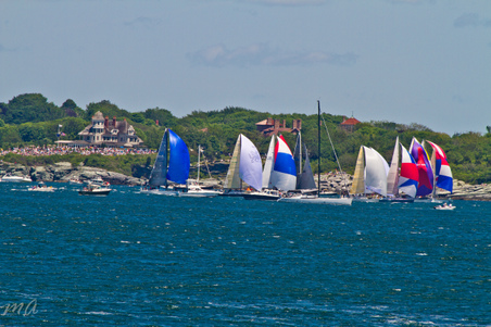 Enlarge photo 181