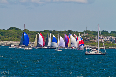 Enlarge photo 182