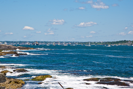 Enlarge photo 184
