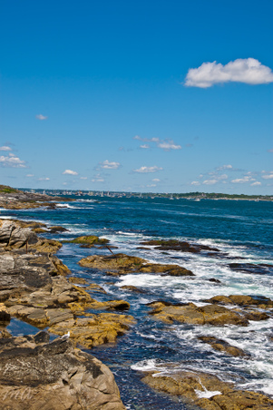 Enlarge photo 185