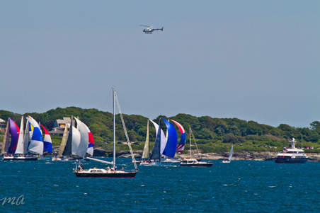 Enlarge photo 186