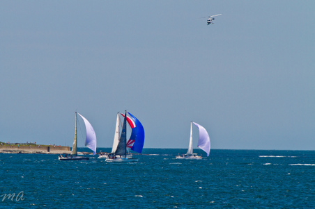 Enlarge photo 192