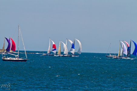 Enlarge photo 193