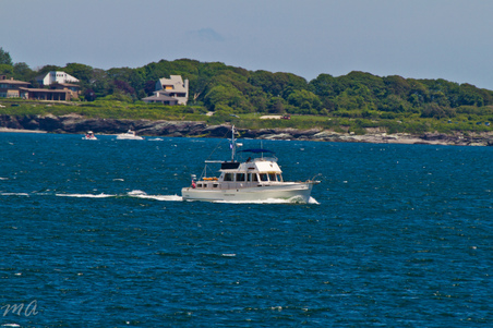 Enlarge photo 194