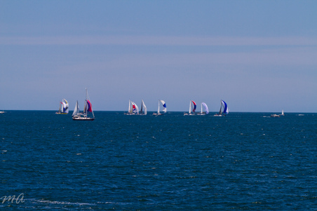 Enlarge photo 195