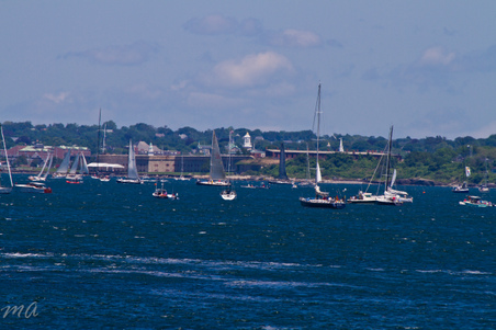 Enlarge photo 196