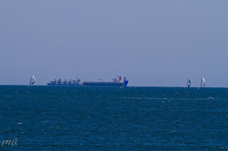 Enlarge photo 201