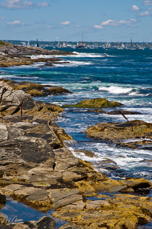 Enlarge photo 210