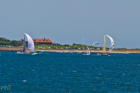 Enlarge photo 215