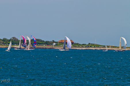 Enlarge photo 216