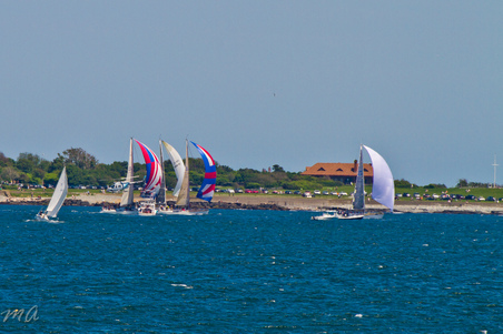 Enlarge photo 217