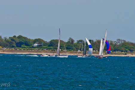 Enlarge photo 218