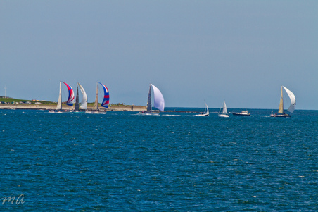 Enlarge photo 219