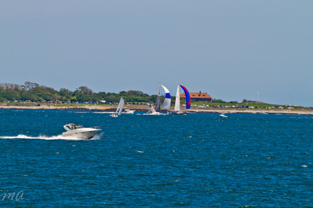 Enlarge photo 220