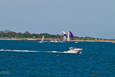 Enlarge photo 221
