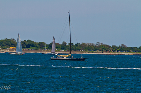 Enlarge photo 222