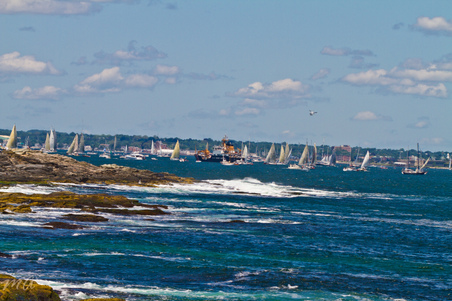 Enlarge photo 223