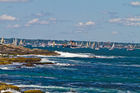 Enlarge photo 224