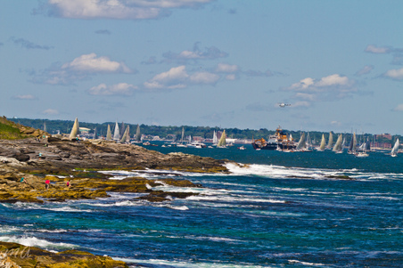 Enlarge photo 225