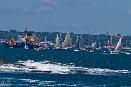 Enlarge photo 226