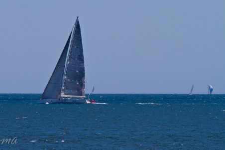 Enlarge photo 227