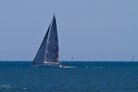Enlarge photo 228