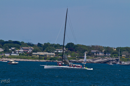 Enlarge photo 229