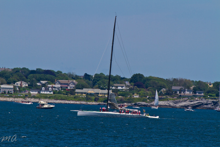 Enlarge photo 230