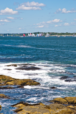 Enlarge photo 236