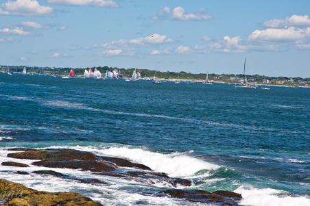 Enlarge photo 237