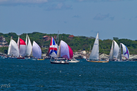 Enlarge photo 238