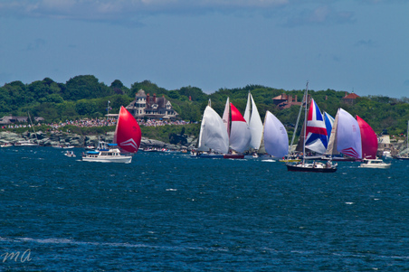 Enlarge photo 239