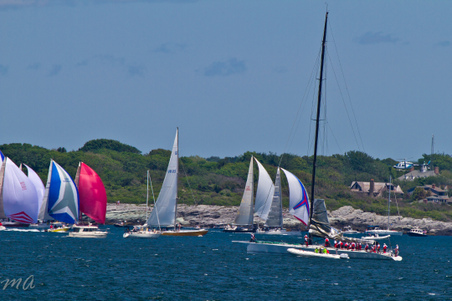 Enlarge photo 240