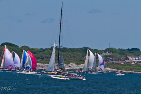 Enlarge photo 241