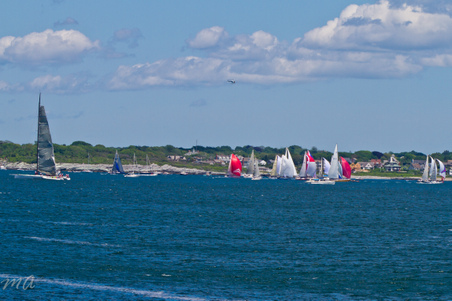 Enlarge photo 247