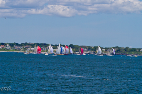 Enlarge photo 248