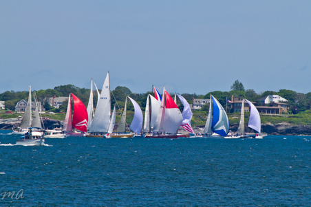 Enlarge photo 251