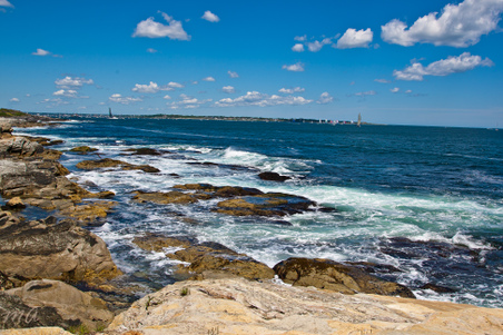 Enlarge photo 253