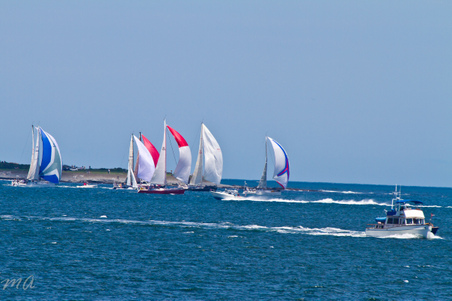 Enlarge photo 257