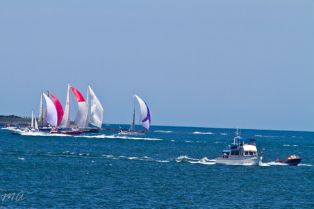 Enlarge photo 258