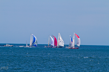 Enlarge photo 260