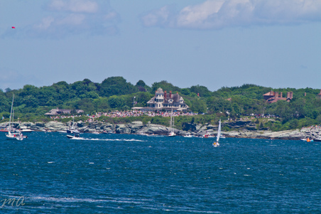 Enlarge photo 262