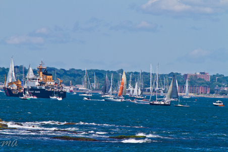 Enlarge photo 263