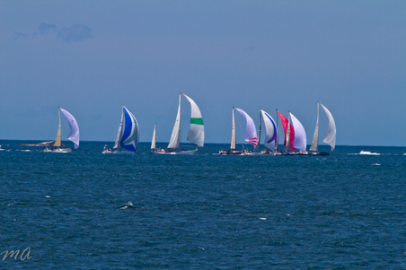 Enlarge photo 264